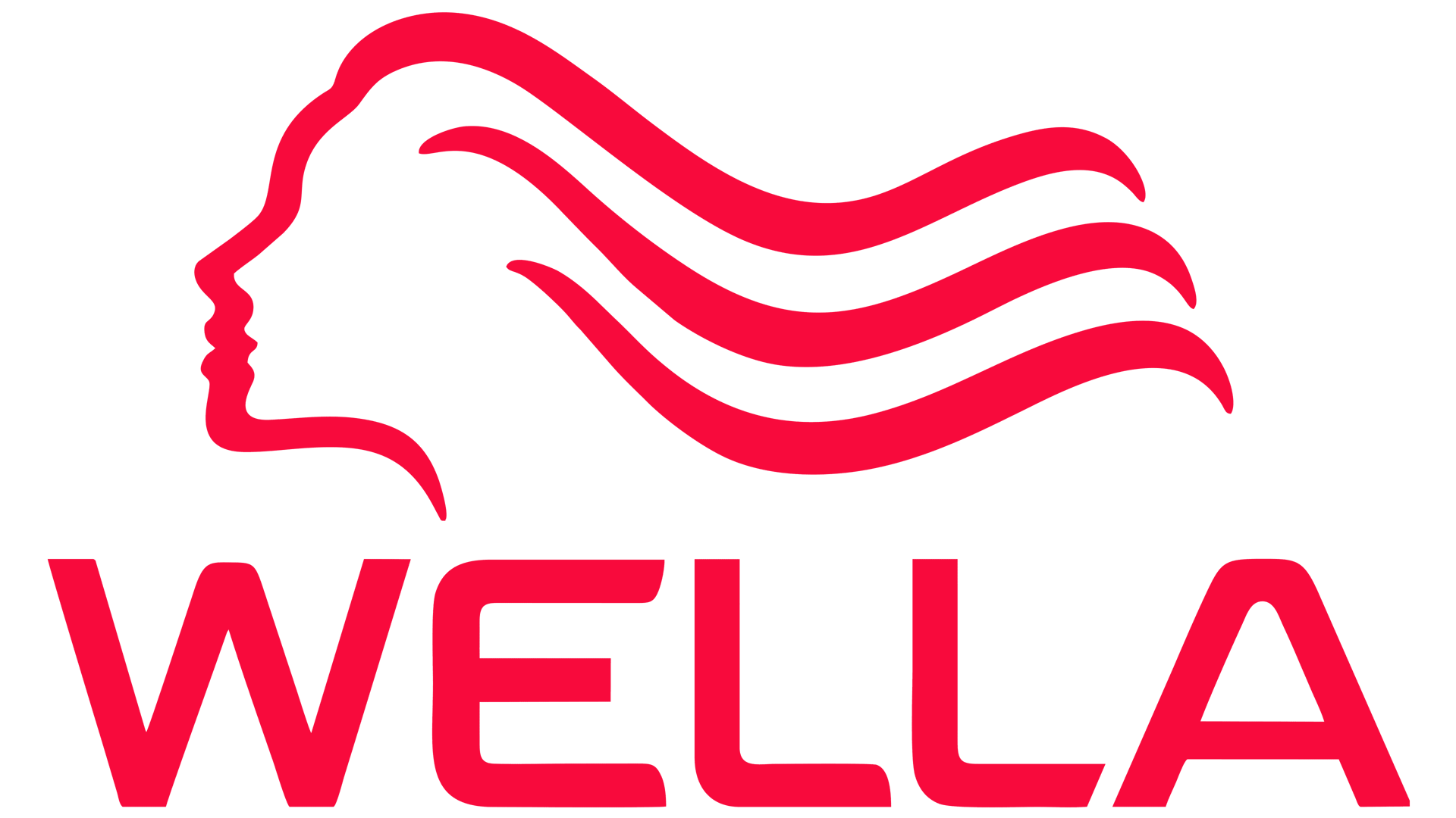 Wella Company