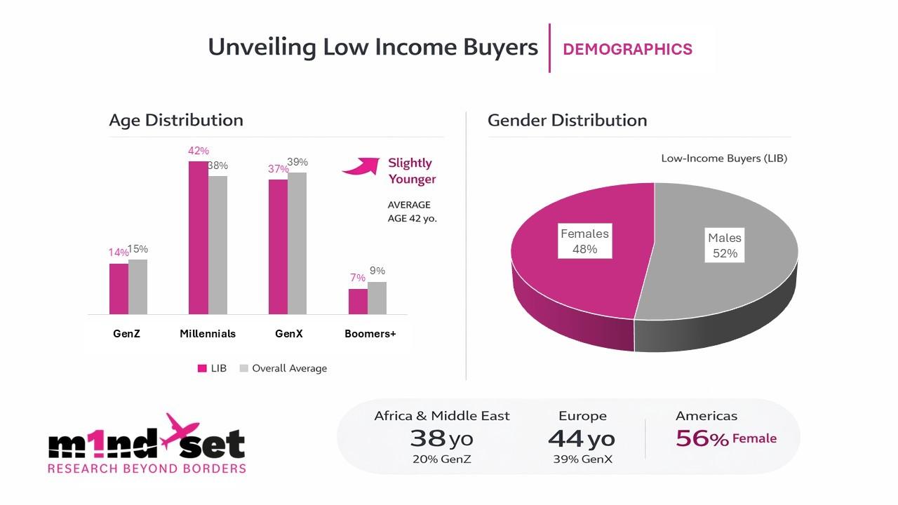 The Income Illusion: Low Income Buyers